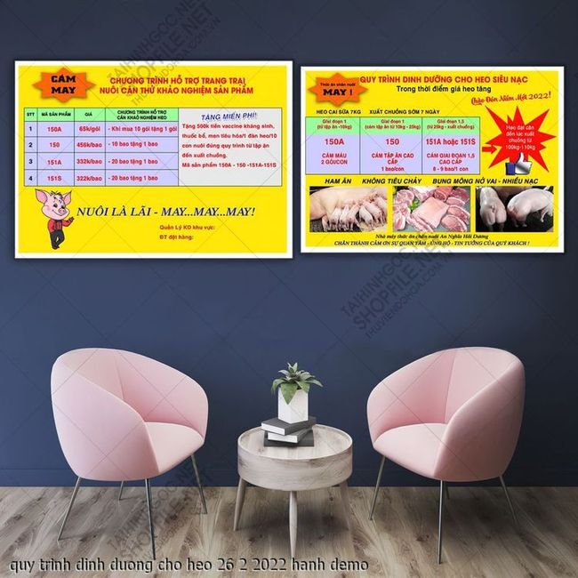 quy trinh dinh duong cho heo 26 2 2022 hanh